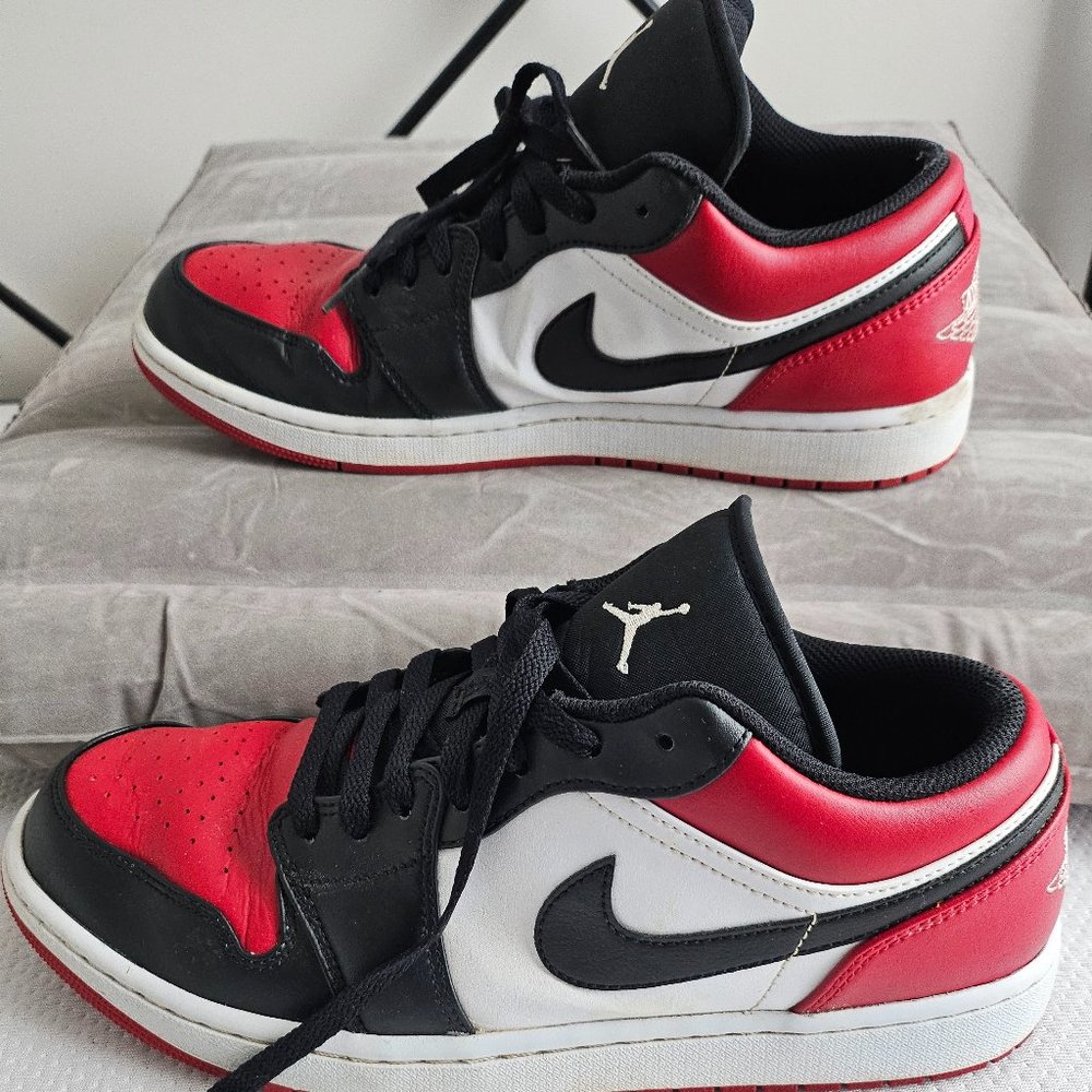 Nike Air Jordan Dunks Size 12